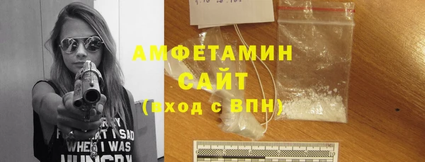 шишки Переславль-Залесский