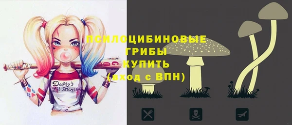 шишки Переславль-Залесский