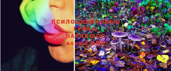 прущая мука Пересвет