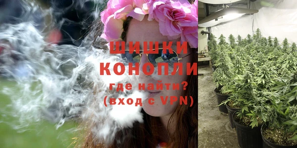 шишки Переславль-Залесский