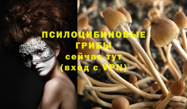 прущая мука Пересвет