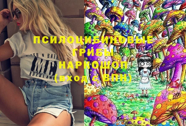 spice Покачи