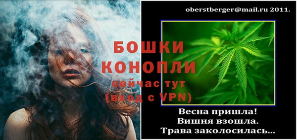 шишки Переславль-Залесский
