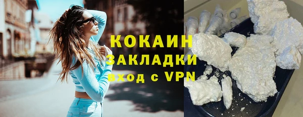 шишки Переславль-Залесский