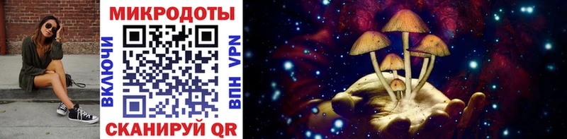 МЕГА зеркало Питкяранта Псилоцибиновые грибы Cubensis где купить наркоту